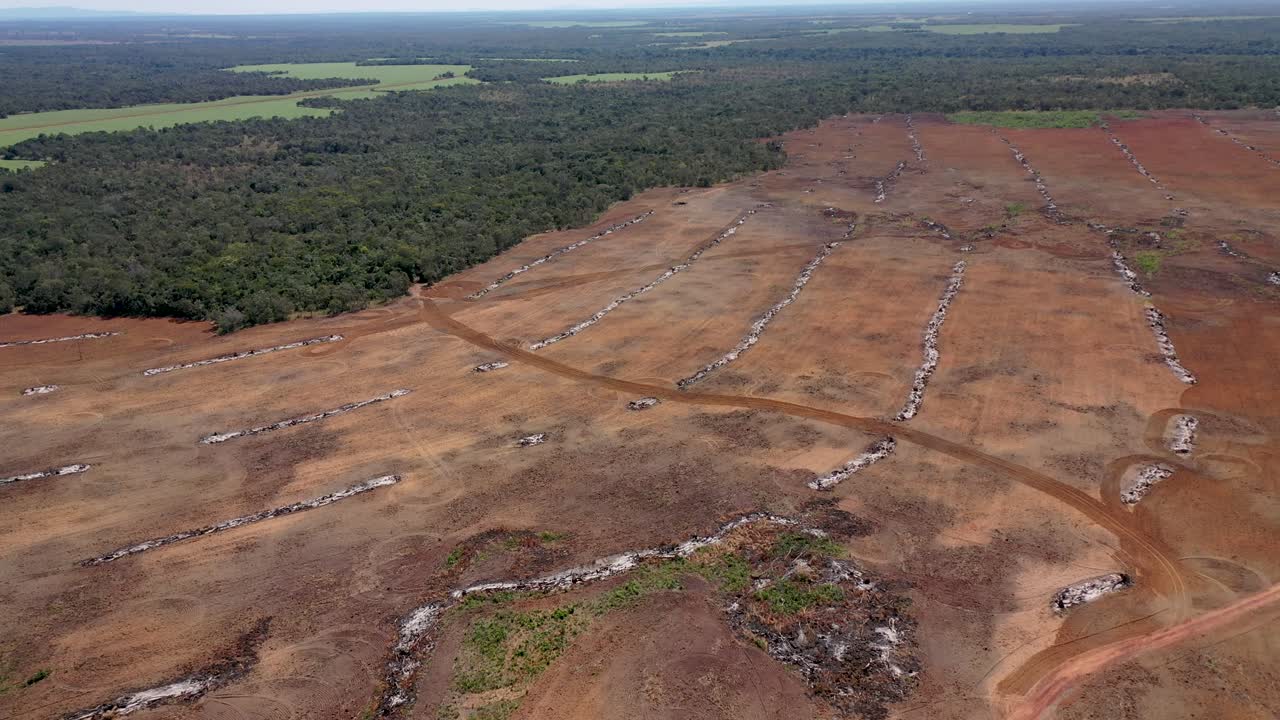 vista aérea del área del bioma "cerrado" y parte deforestada para uso agrícola, ciudad de santa rosa do tocantins, estado de tocantins, brasil