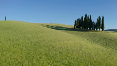 在意大利托斯卡尼的瓦爾多爾西亞 (val d'orcia) 的著名<unk>樹的日落時,無人機拍攝