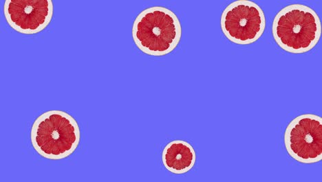grapefruit fruit motion design animation