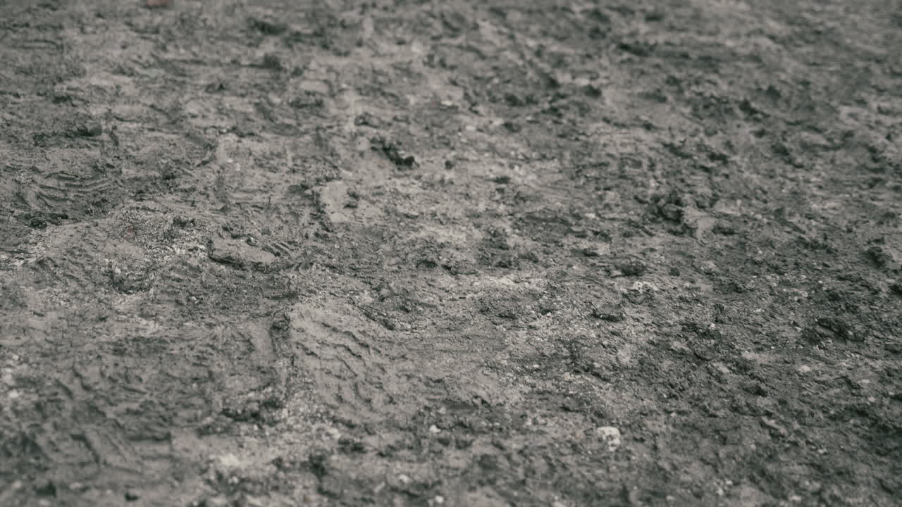 흙길을 천천히 걷는다.