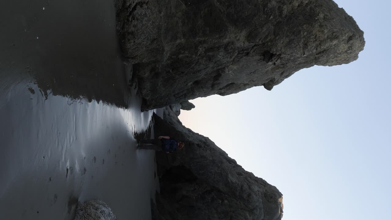 붉은 머리의 수컷이 밴던 해변의 젖은 모래 위의 큰 바위를 걷고 있다