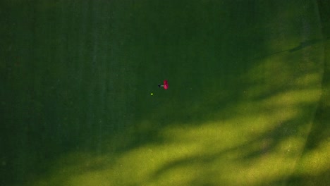 drone aerial footage 4k of putting the golf ball into the hole during a sunny day on golf course practice
