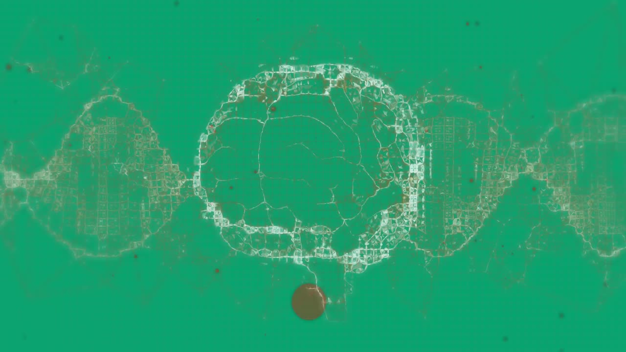 Animation of brain and shapes on green background