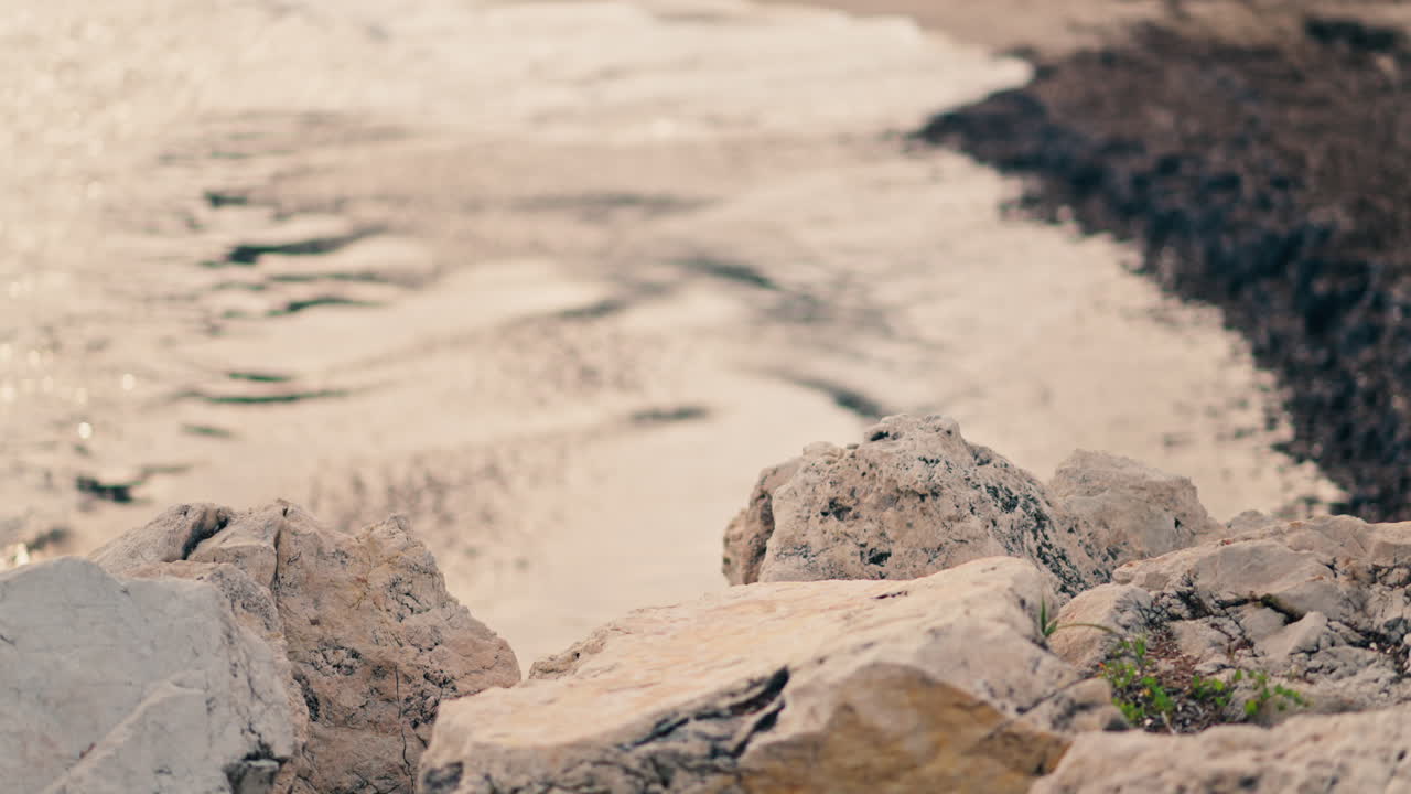 Close up of dark waves crashing onto a muddy shore with foam along the edge