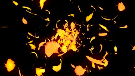 autumn leaves falling on black background, ginkgo leaf, loop glitter animation,