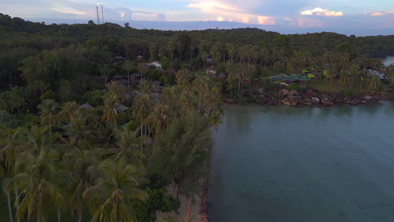 volando sobre coronas de palmeras de drones