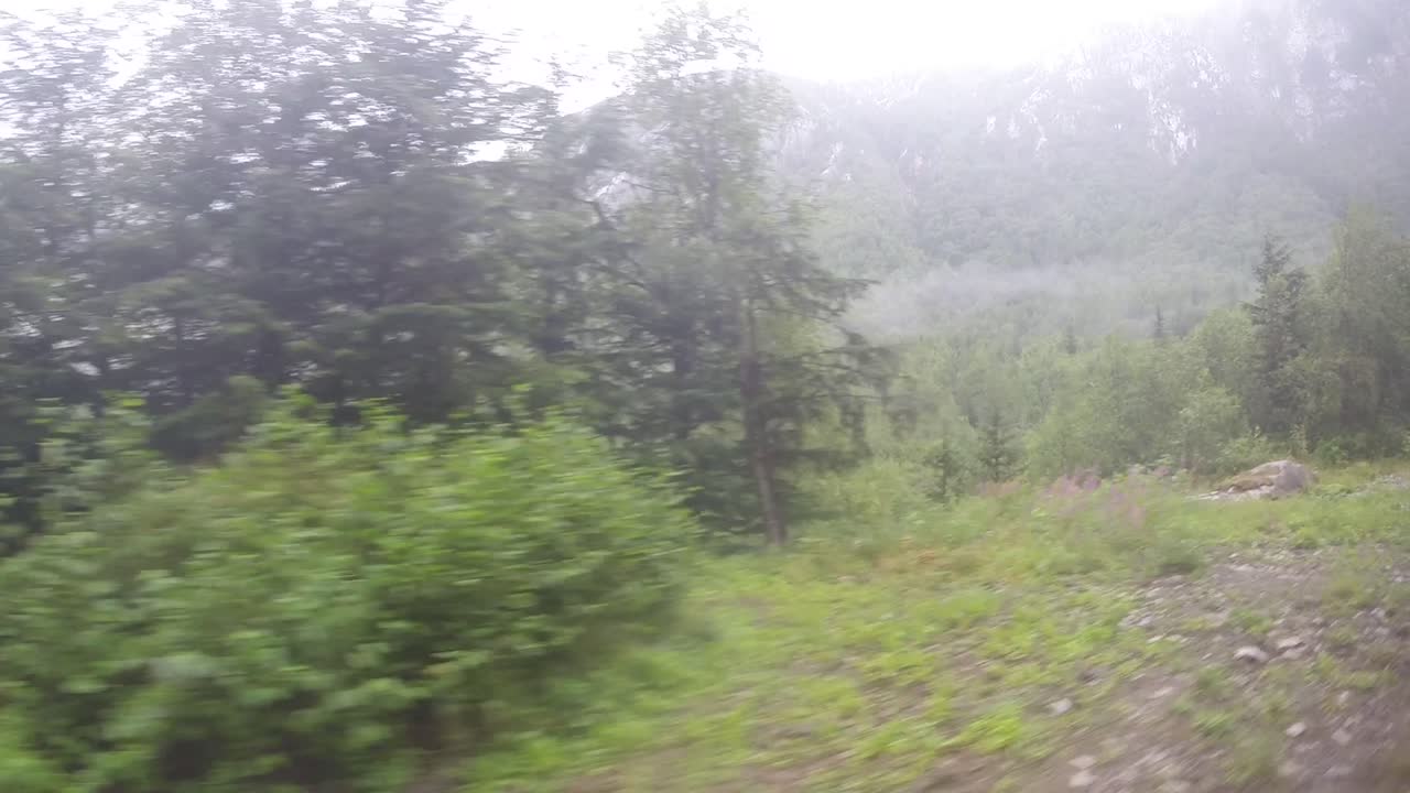 알래스카의 화이트 패스 철도