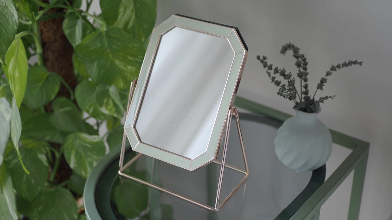 Specchio da tavolo decorativo moderno con pianta verde e vaso.