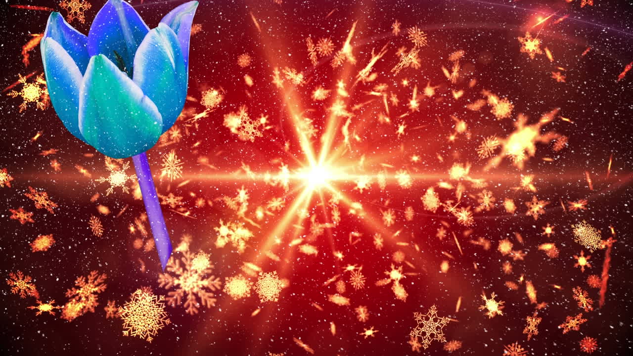 눈이 떨어지는 장미의 애니메이션.