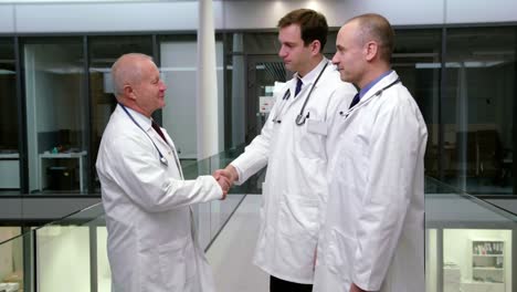 médicos interactuando entre sí mientras se dan la mano en el pasillo