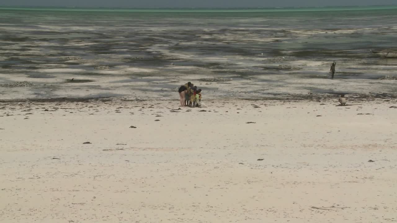 밀물이 들어오고 들어오는 시간 경과 촬영