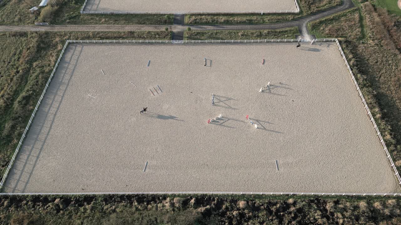 마구간 근처 목장에서 걷고 풀을 뜯는 순종 말 무리