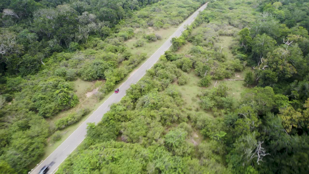 숲 속 의 도로 의 공중 사진