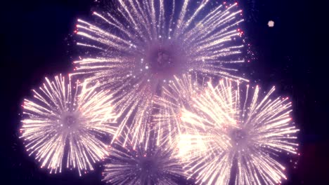 explosions of beautiful fireworks in the dark cloudy star night sky seamless loop background for birthday, anniversary, celebration, holiday, new year, party, event and celebrations, invitation