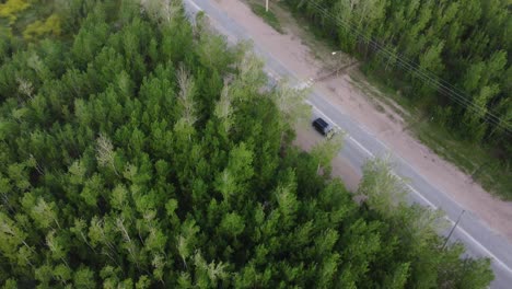 Aerial-tracking-shot-of-black-car-driving-on-apshalt-road-between-forest-trees-in-Argentina