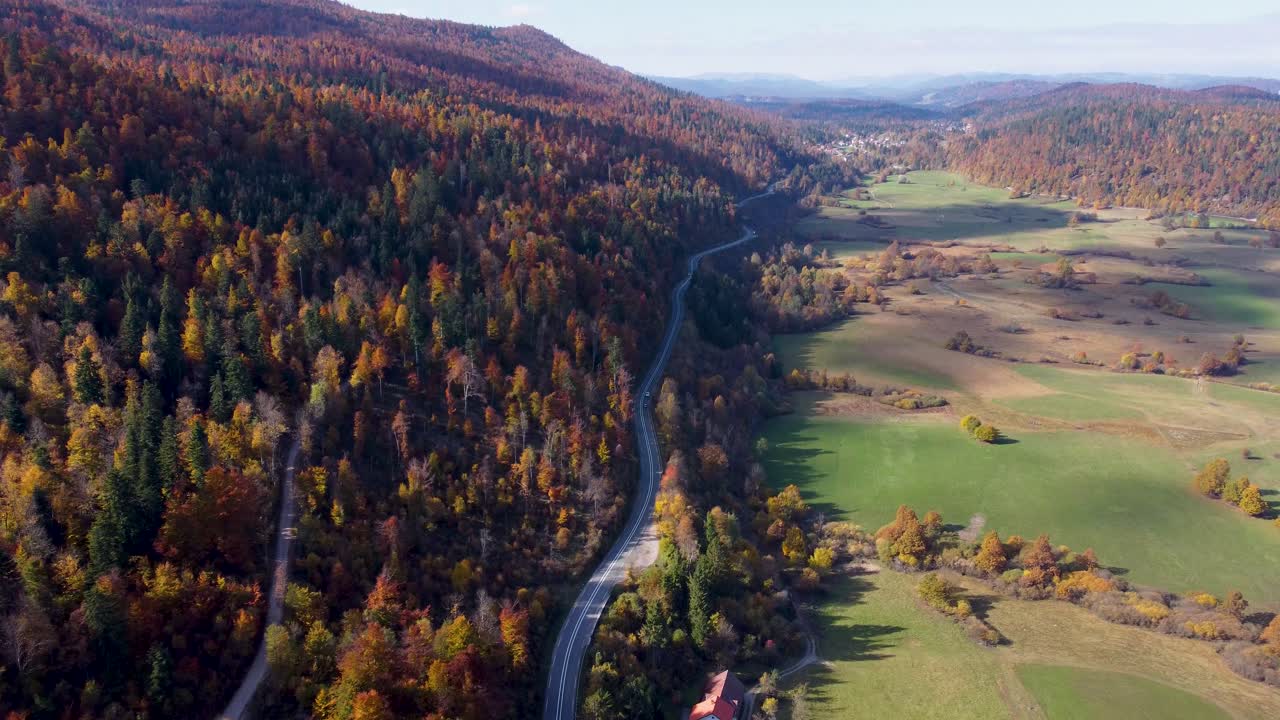 coches conduciendo a través de pintorescos bosques de colores de otoño en eslovenia cerca de postojna y cerknica, inclinación aérea hacia abajo