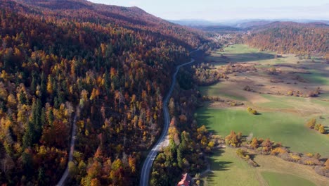 cars driving through scenic autumn-coloured woods in slovenia near postojna and cerknica, aerial tilt down