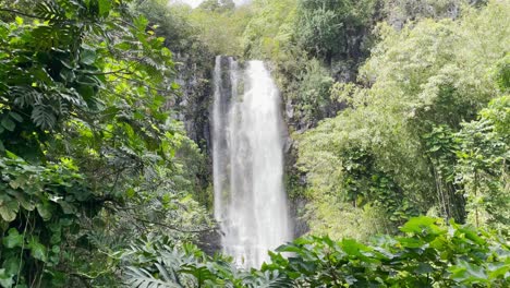 Una-Amplia-Vista-Estacionaria-De-Una-Cascada-Hawaiana-En-Un-Bosque-Exuberante