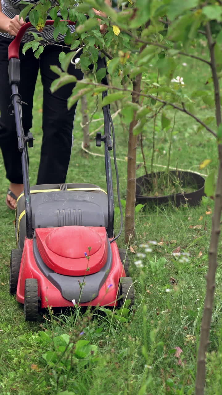 Lawn mower cut grass. Green grass in the garden and lawn mower approaching