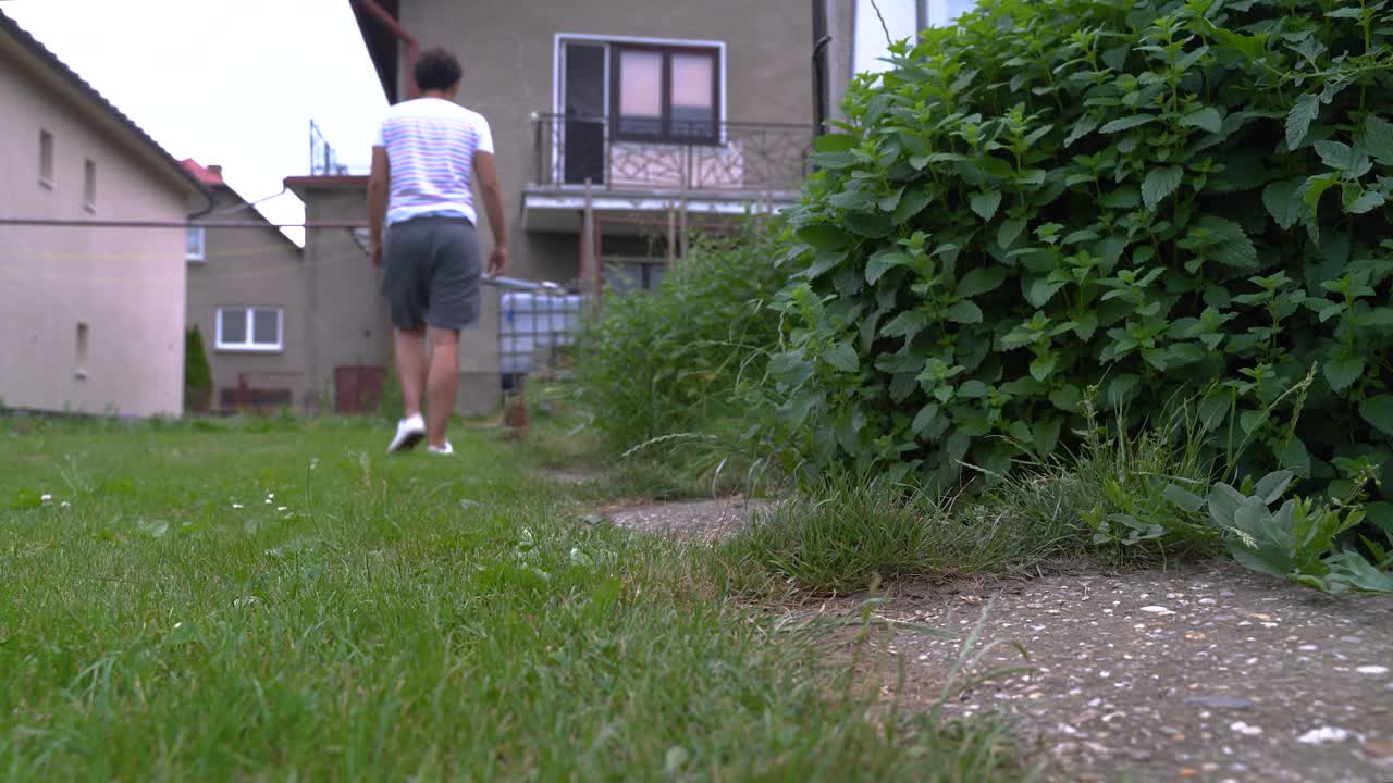 시골 정원을 걷는 수컷을 따라다니는 귀엽고 재미있는 고양이