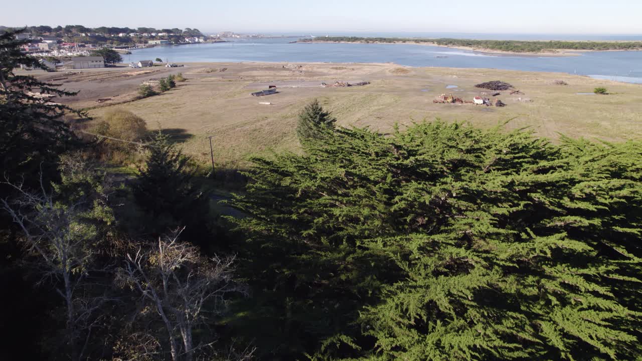 Ripresa aerea 4K con drone che si affaccia sull'orizzonte alberato a Bandon, Oregon.