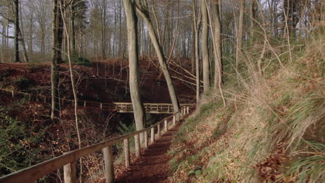 wooden bridge in a peaceful forrest on a sunny day gimbal smooth nature forrest winter fall