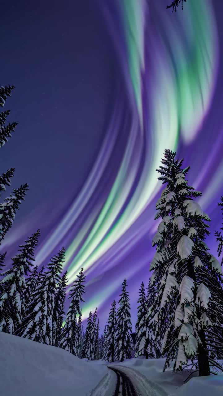 A mesmerizing video scene of the Northern Lights, captured from a low-angle, showcasing vibrant