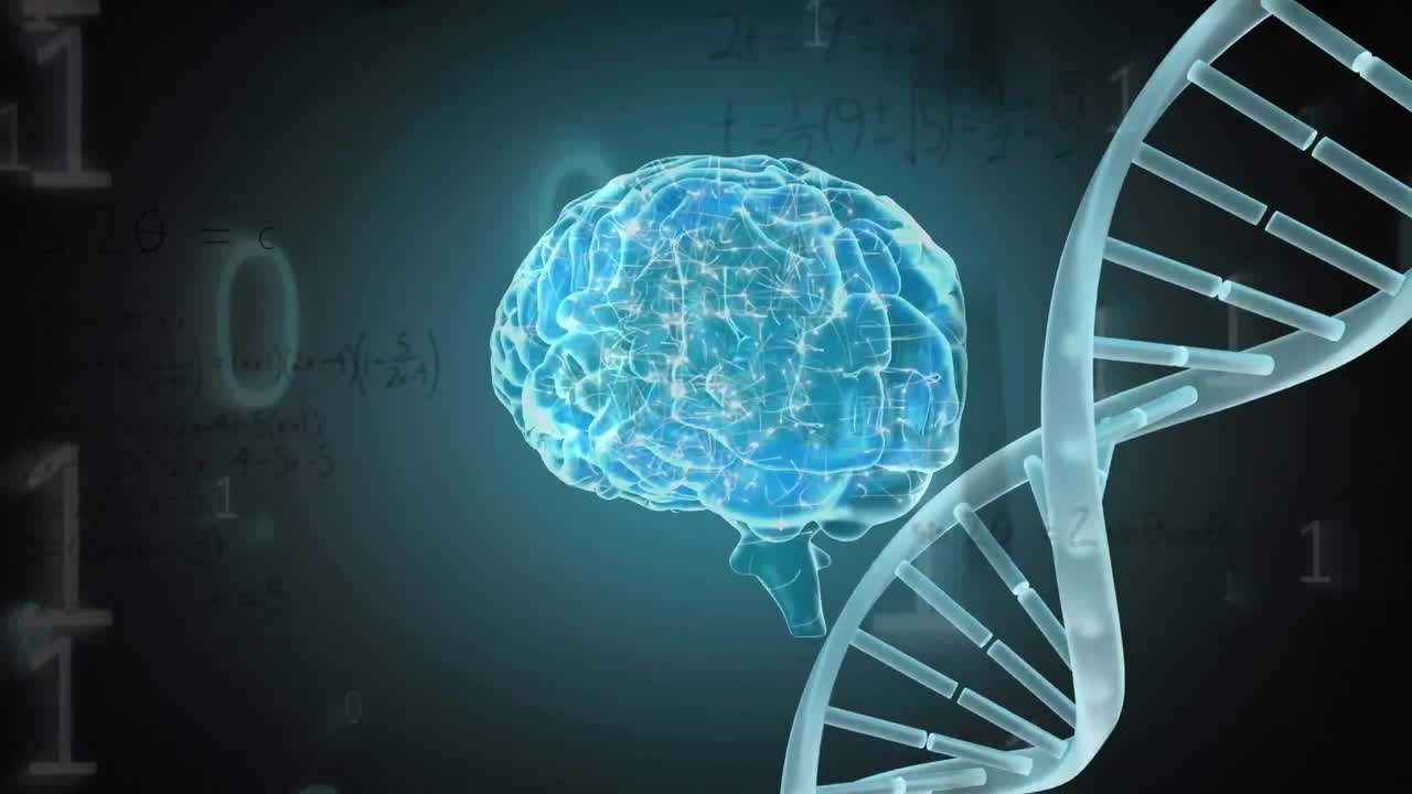 Animation of spinning brain over binary coding and dna strand