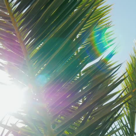 Tiro-De-La-Grúa:-Un-Día-Soleado-En-El-Cálido-Sur