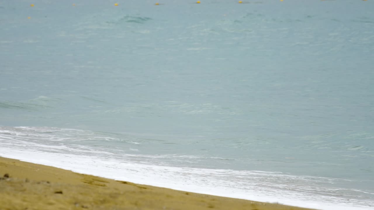 강력한 파도가 해변을 따라 부서집니다.