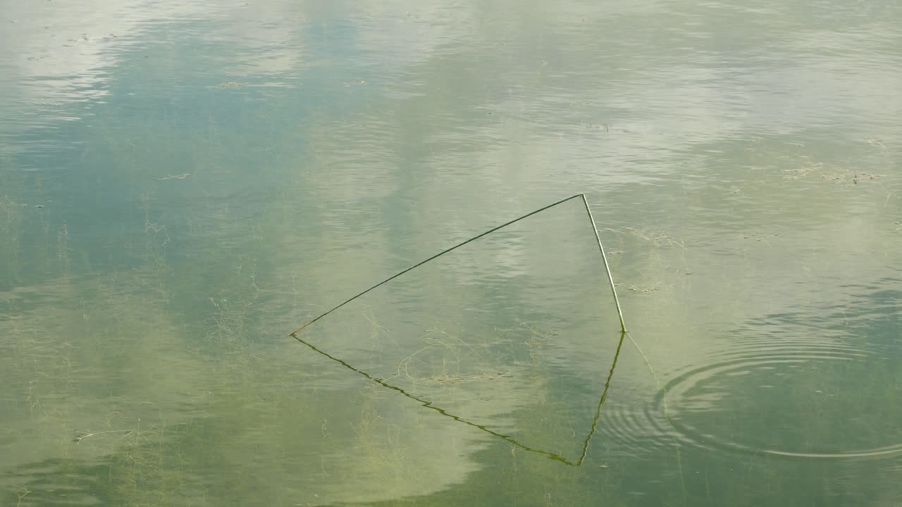 수면, 구름의 반사, 튀어나온 풀 한 개