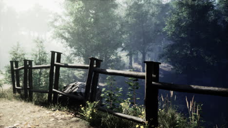 foggy forest path with wooden fence