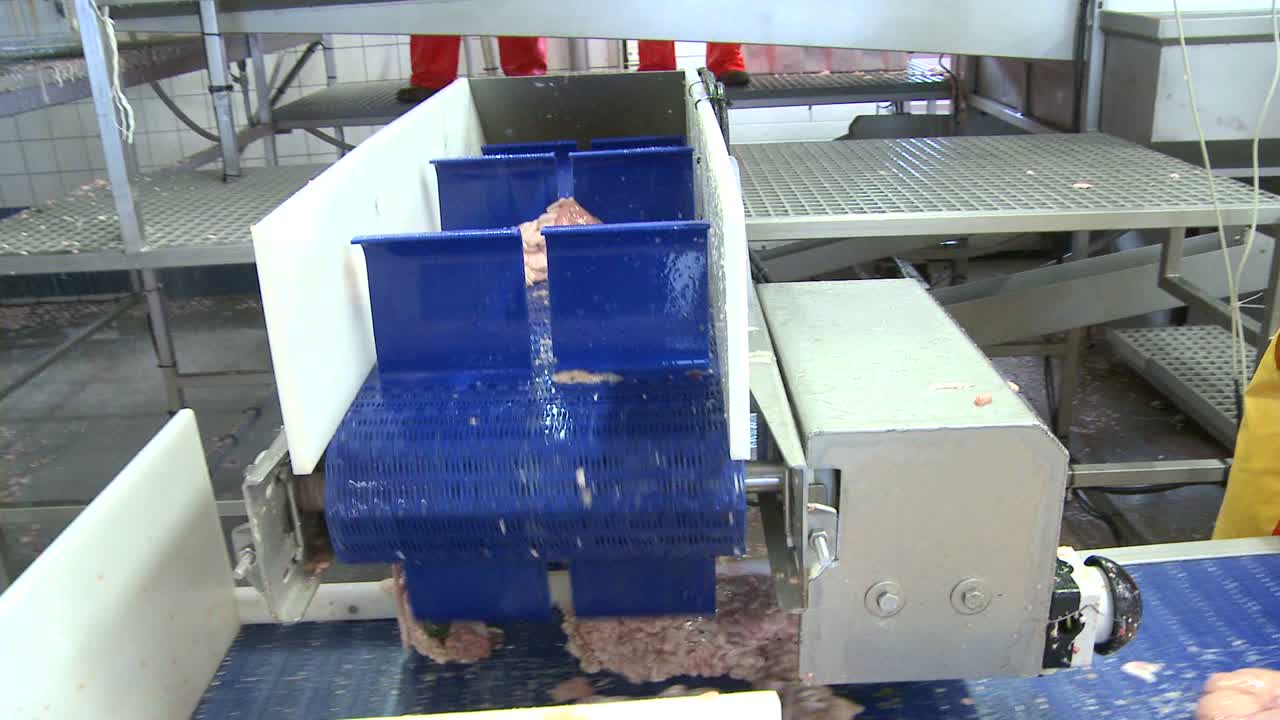 어류 가공 공장의 조립 라인