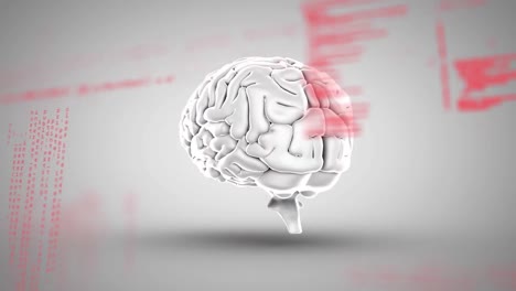 códigos digitales de cerebro y programa