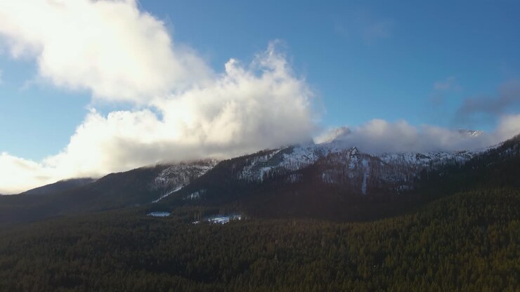 Natura ripresa con un drone con paesaggi e montagne coperte di neve all'ora d'oro all'alba con una splendida foresta e le colline circostanti ripresa in Slovenia sopra la foresta di Pokljuka in 4k