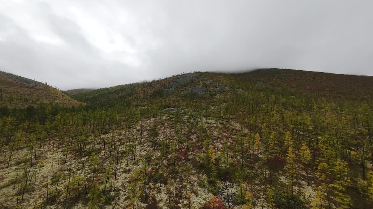 viaje alto por encima de la impresionante naturaleza de yakutia, donde un dron se desliza sobre vastos bosques y majestuosas colinas, revelando la serena belleza de este remoto paisaje.