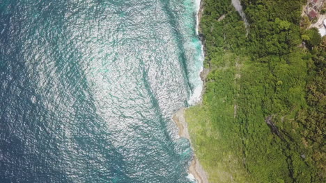 vertical aerial gentle waves break against steep jungle