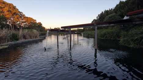 a water feature flows into a lake at sydney park, australia