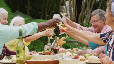 animation of diverse happy senior female and male friends eating lunch in garden, drinking wine