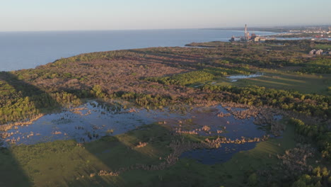 aerial view of ecological reserve puerto madero in buenos aires, argentina