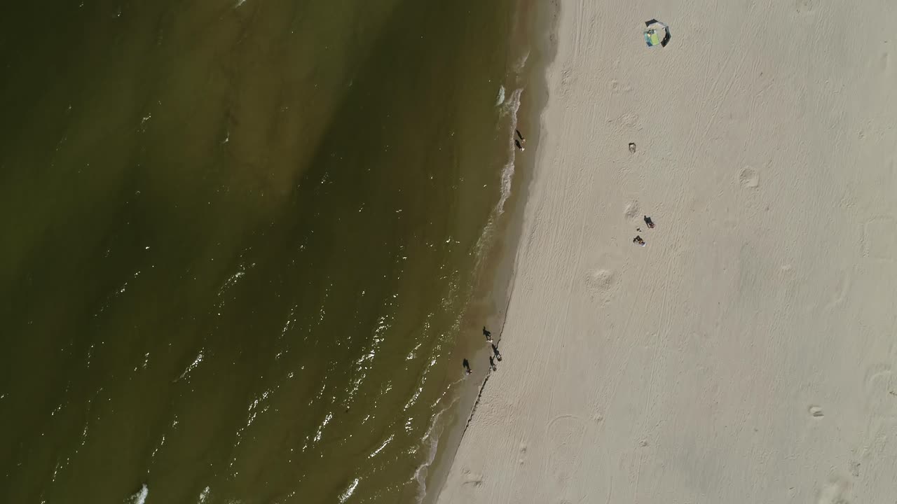 Persone sulla spiaggia della costa del Mar Baltico che fanno il bagno e prendono il sole