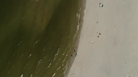 People-on-beach-of-Baltic-sea-coast-bath-and-sunbathe