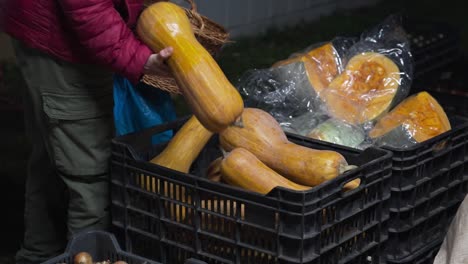 person selecting fresh butternut squash from a crate at an outdoor market