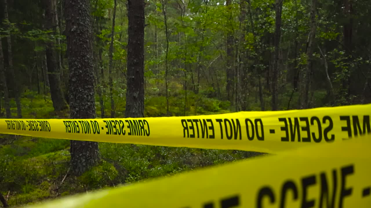 Close up view of a yellow colored police line crime scene investigation forensic tape ribbon in a cloudy day time forest while video moves up and focus changes to the back on the trees and woods