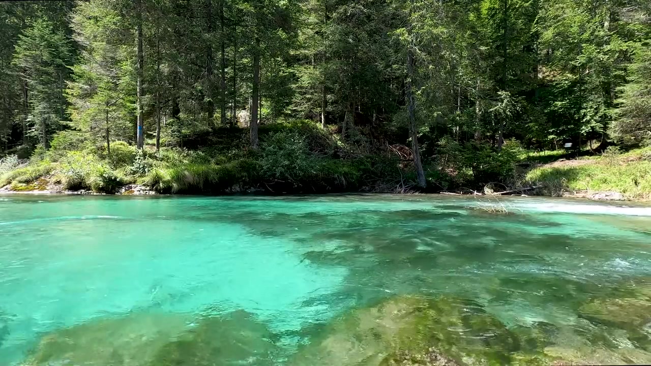 Ripresa aerea con drone che scivola sopra il turchese Lago di Carezza, circondato da una fitta foresta di sempreverdi. L'acqua alpina limpida e il bosco rigoglioso creano uno scenario naturale suggestivo in Italia