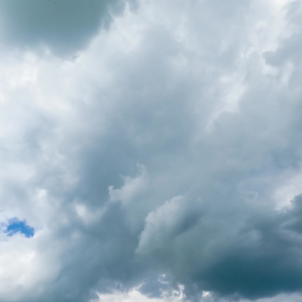 Amazingly blue skies with dramatic clouds. Fluffy soft clouds moving by the sky. Timelapse. View from below