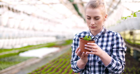 Young-Female-Botanist-Examining-Potted-Plant-12