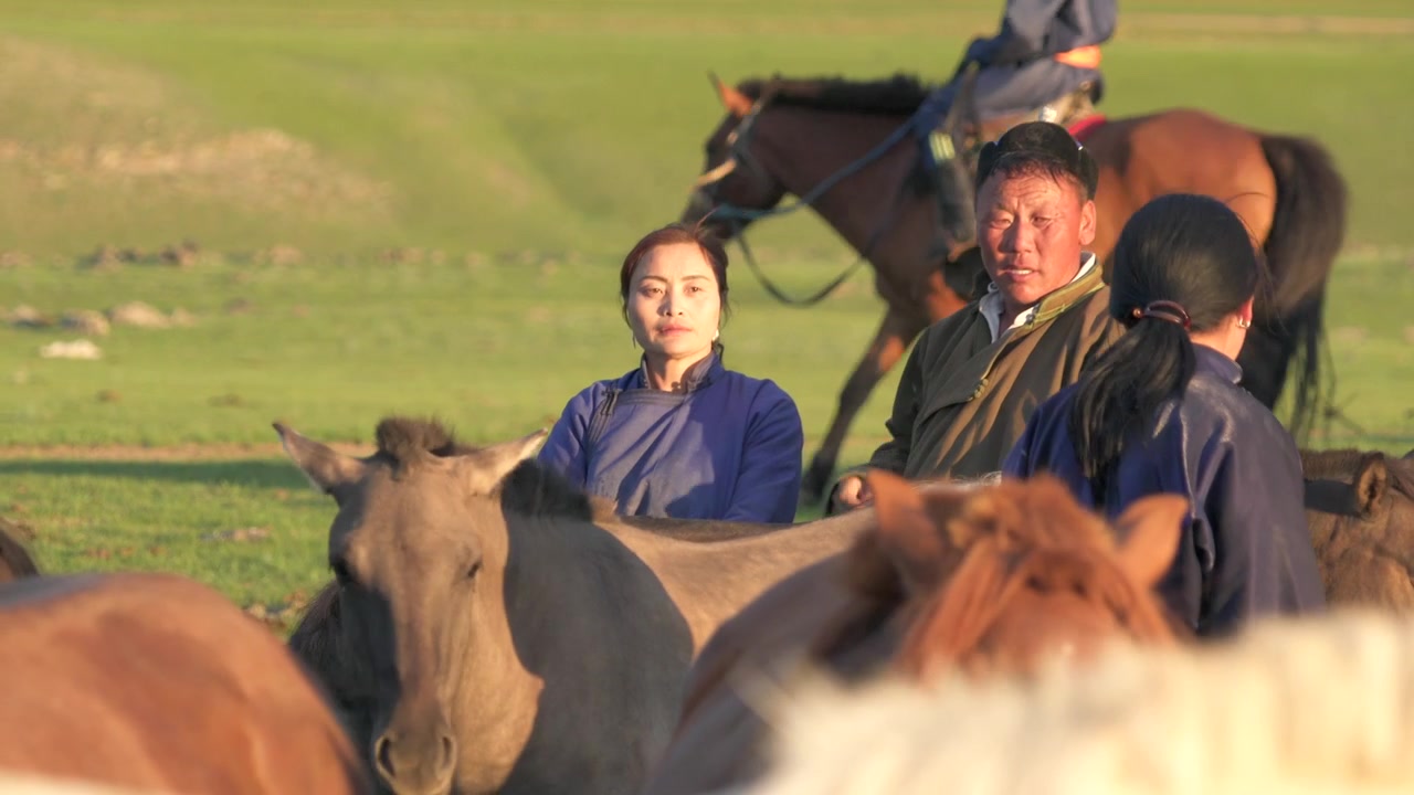Mongolsk nomadefamilie, der passer heste på steppen