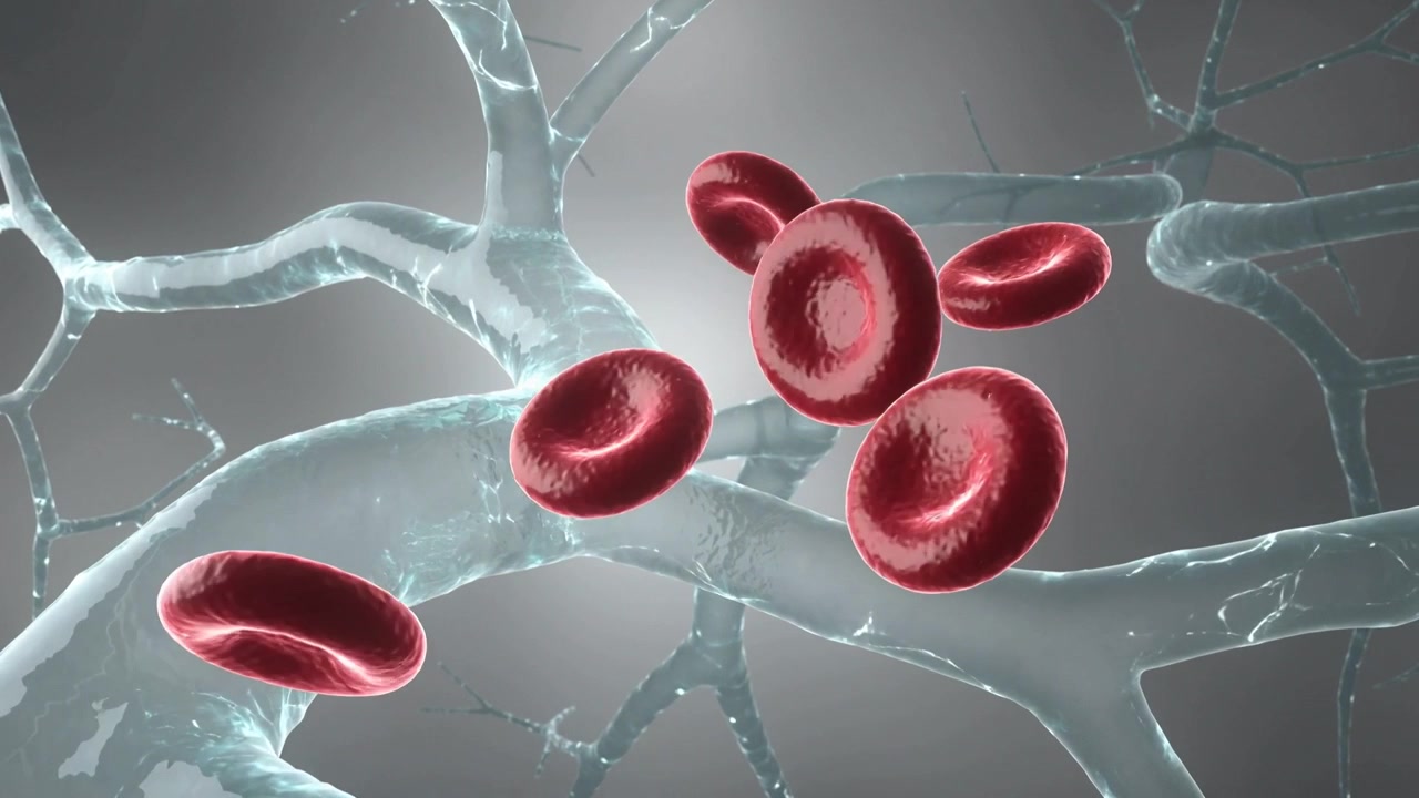 Entering from right, small group of red disc cells rotating and flowing through translucent vessels