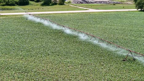 Un-Campo-Agrícola-En-El-Centro-De-Wisconsin-Se-Riega-Con-Un-Sistema-De-Aspersores.